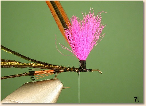 Step 7