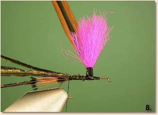 Step 8
