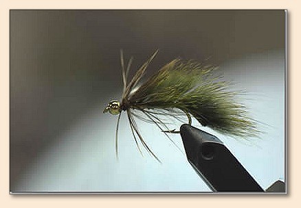 Step 8