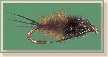 Marabou P.T. Nymph