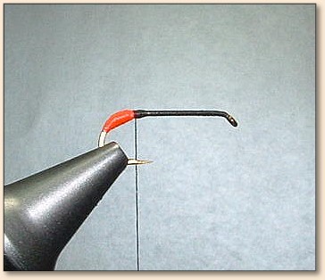 Step 2