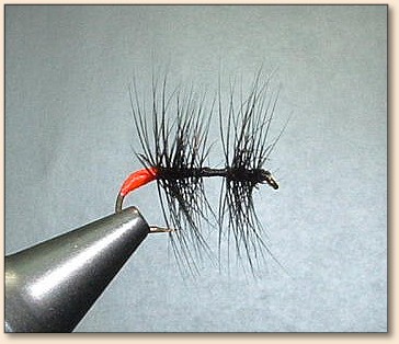 Step 4