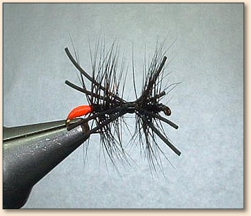 Step 6