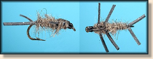 Rubber Legged Hare's Ear
