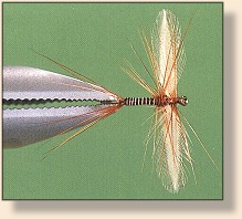 Red Quill Spinner, Top view