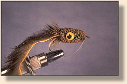 Rabbit Strip Slider