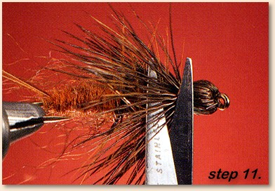 Step 11