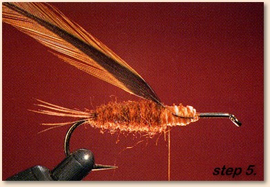 Step 5