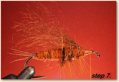 Step 7