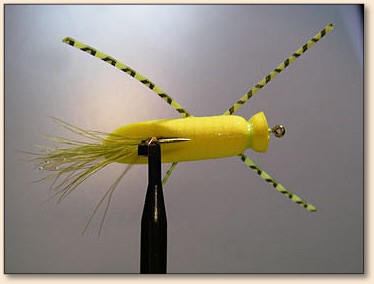 Bottom View