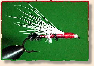 The Santa Claus Fly