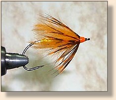 CDC Steelhead