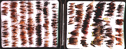 Shwapf Fly Box