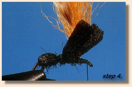 Step 4