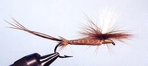 Fuller Bodier Variation