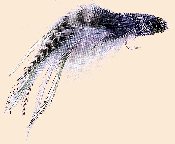 Tinker Mackerel