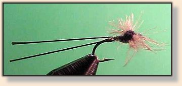 Trico Spinner
