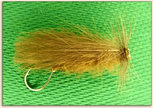 Back View