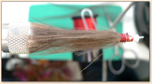Step 6a