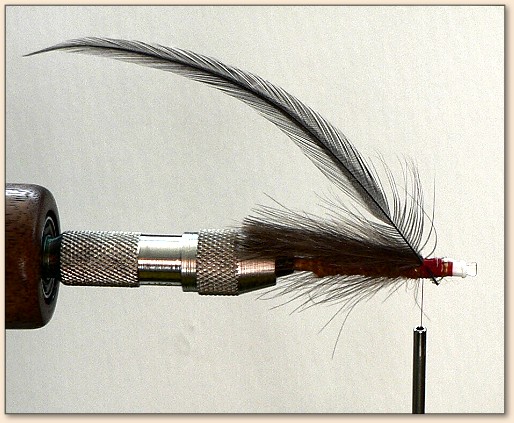 Step 7