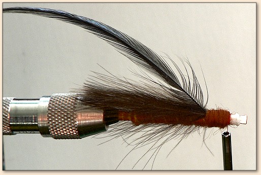 Step 8