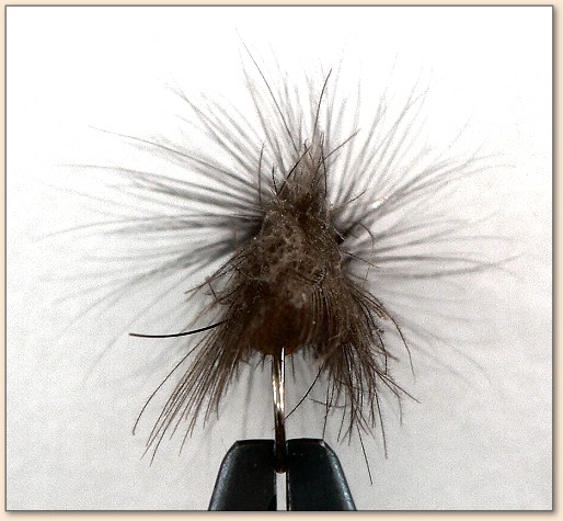 Side View