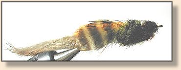 Top view