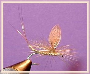 Wally Wing Mayfly