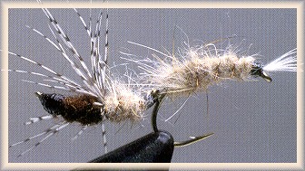 Wiggle Larva