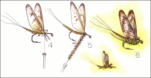 Illustration 4