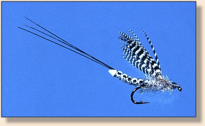 Teal Flank Wing