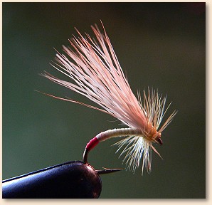 Finished Fly