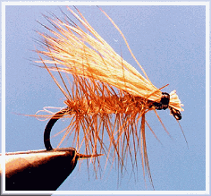 Elk Hair Caddis
