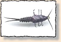 Stonefly nymph using Tyvek