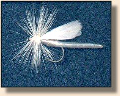 White Mayfly