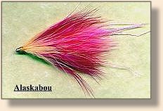 Alaskabou from Nordic Way
