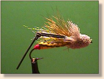 Packer Hopper
