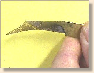 Folded Flat held in template