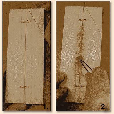 Step 1 and 2