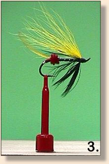 Clip Hook with Hairy Mary fly
