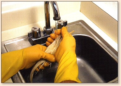 Rinsing necks