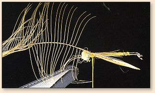 Hackle tied in