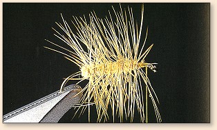 Finished Palmer-hackled fly