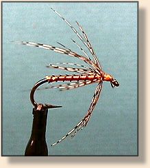 Simple Spider with Ribbing