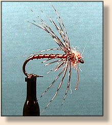 Simple Spider-Herl/Dubbed Head with Ribbing