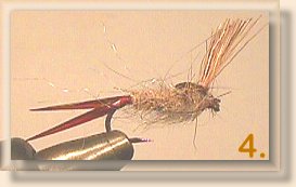 Nymph Emerger