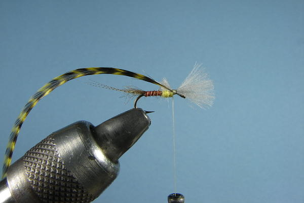 Hackle tie in