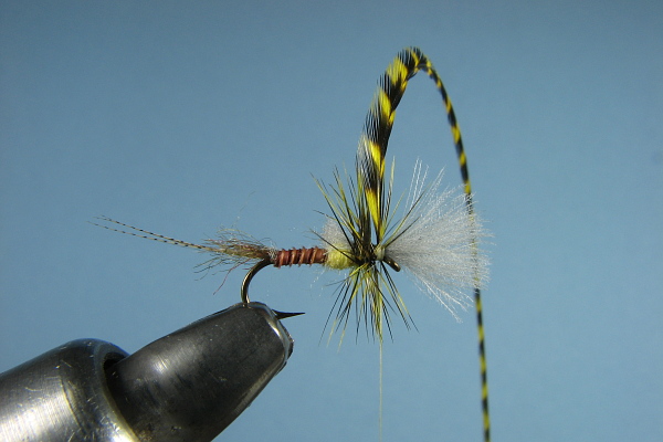 Wind Hackle