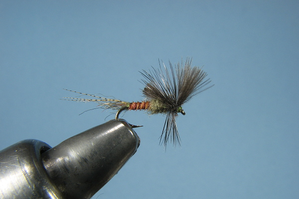 Last chance cripple Baetis