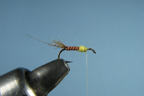 Thorax dubbed